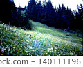 Flower fields on the mountain slopes 140111196