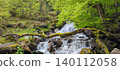 Flowing stream with moss-covered rocks and vibrant green trees in the Pyrenees mountains, showcasing natural beauty and tranquility 140112058