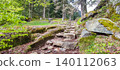 Rocky hiking trail through lush green forest in the Pyrenees mountains, surrounded by trees and natural vegetation 140112063
