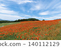 A scene of early summer flowers in a field, with a blue sky and poppies. 140112129