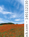 A scene of early summer flowers in a field, with a blue sky and poppies. 140112130