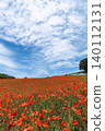 A scene of early summer flowers in a field, with a blue sky and poppies. 140112131