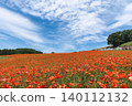 A scene of early summer flowers in a field, with a blue sky and poppies. 140112132
