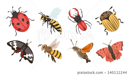 Set of different insects and bugs on white background. Illustration. 140112244