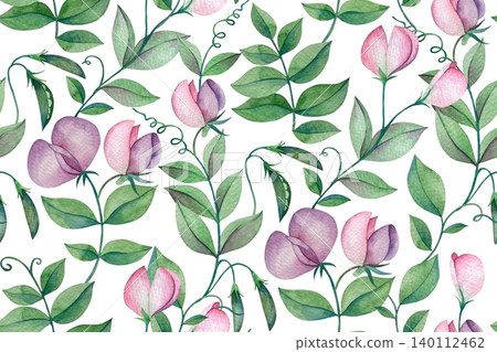Sweet pea watercolor illustration. Seamless print of flowers and leaves. 140112462
