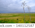Dried Umbel Flowers Overlooking the Green Valley 140112587