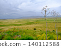 Spring Vegetation and Distant Hills of Lapathos 140112588