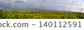 Panoramic Landscape of Cyprus Farmland with Wild Fennel 140112591