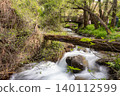 Pure water stream flowing over rocky mountain terrain in the Kakopetria forest,  Troodos, Cyprus 140112599