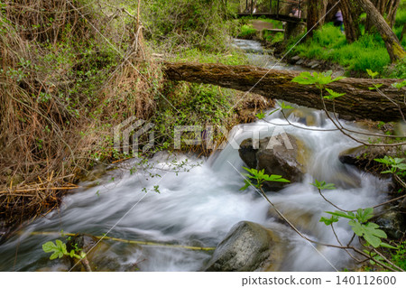 Pure water stream flowing over rocky mountain terrain in the Kakopetria forest, Troodos, Cyprus Pure water stream flowing over rocky mountain terrain in the Kakopetria forest, Troodos, Cyprus 140112600