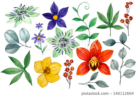 Tropical flowers and leaves, a set of watercolor illustrations. Passion flowers, orchid Tropical flowers and leaves, a set of watercolor illustrations. Passion flowers, orchid 140112604