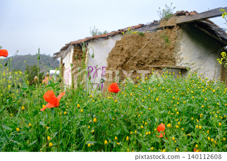Abandoned Mudbrick Cottage with Red Poppies in Kakopetria, Cyprus Abandoned Mudbrick Cottage with Red Poppies in Kakopetria, Cyprus 140112608