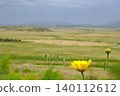 Crown Daisy and Wild Oats in Focus 140112612