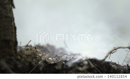 Molten Ground Beneath Tree With Glowing Embers. Charred Earth And Misty Smoke Rising In Slow Motion . Stock clip Molten Ground Beneath Tree With Glowing Embers. Charred Earth And Misty Smoke Rising In Slow Motion . Stock clip 140112854