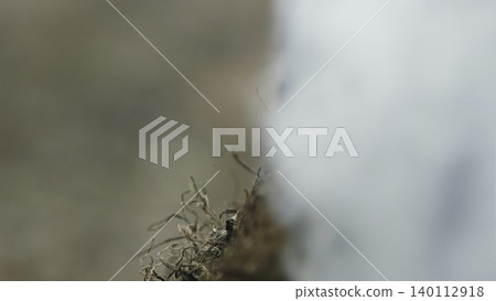 Soft Focus Captures Smoky Plume Above Soil. Closeup Of Smoky Vapor Flowing Over Moss Edge In Soft Focus. Stock Clip 140112918