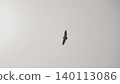 Elegant Flight Beneath Luminous High Sky. Minimalist Scene Of Bird Gliding Against Glowing Sun . Creative 140113086