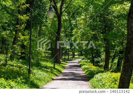 Sunlit park path through green trees with vintage lamp posts and peaceful summer atmosphere Sunlit park path through green trees with vintage lamp posts and peaceful summer atmosphere 140113142