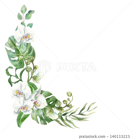 White orchids decorate the side. Delicate flowers and tropical green leaves. Hand drawn watercolor illustration, isolated. Suitable for wedding invitations, cards, spa banners and cosmetic labels White orchids decorate the side. Delicate flowers and tropical green leaves. Hand drawn watercolor illustration, isolated. Suitable for wedding invitations, cards, spa banners and cosmetic labels 140113223