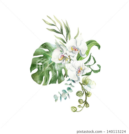White orchid bouquet. Delicate flowers and tropical green leaves. Hand drawn watercolor illustration, isolated. Suitable for wedding invitations, cards, spa banners and cosmetic labels White orchid bouquet. Delicate flowers and tropical green leaves. Hand drawn watercolor illustration, isolated. Suitable for wedding invitations, cards, spa banners and cosmetic labels 140113224