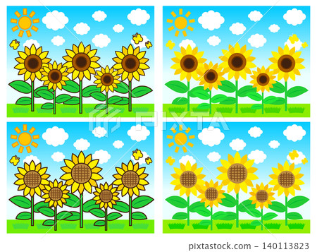 Summer sunflower field illustration set Summer sunflower field illustration set 140113823