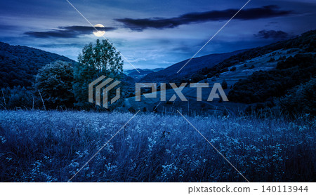 rural field on the hill at night. view in to the valley. countryside mountain landscape. full moon over alpine pasture near forested hills. inner strength to overcome fear, loneliness in darkness rural field on the hill at night. view in to the valley. countryside mountain landscape. full moon over alpine pasture near forested hills. inner strength to overcome fear, loneliness in darkness 140113944
