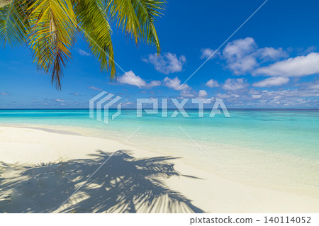 Gorgeous tropical beach palm shadows powdery white sand turquoise crystal lagoon breathtaking serene paradise idyllic coastal escape summer getaway dreamy tranquil pristine shoreline sunny daydream Gorgeous tropical beach palm shadows powdery white sand turquoise crystal lagoon breathtaking serene paradise idyllic coastal escape summer getaway dreamy tranquil pristine shoreline sunny daydream 140114052