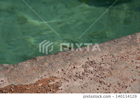 A dragonfly resting on the shore of Lake Annecy in France (July 29, 2021) A dragonfly resting on the shore of Lake Annecy in France (July 29, 2021) 140114129