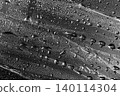 Black and White Water Drops Background. Monochrome reflective Surface close up of water droplets on glass textured surface, dramatic light and shadow. Abstract backdrop for design, copy space 140114304