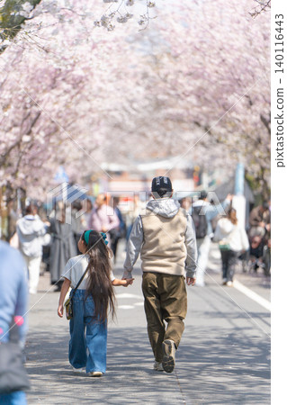 A parent and child walking along the cherry blossom-lined street in Kamikitazawa A parent and child walking along the cherry blossom-lined street in Kamikitazawa 140116443