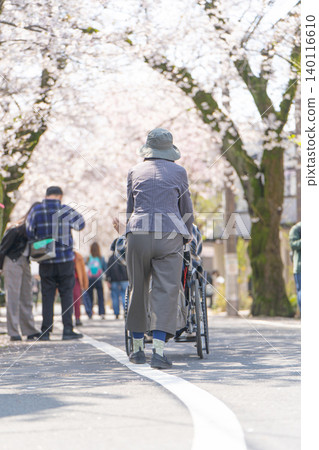 A wheelchair moving along the cherry blossom-lined street in Kamikitazawa A wheelchair moving along the cherry blossom-lined street in Kamikitazawa 140116610
