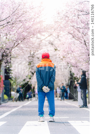 A spring moment gazing at the cherry blossom trees in Kamikitazawa A spring moment gazing at the cherry blossom trees in Kamikitazawa 140116766