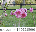 Plum 140116990