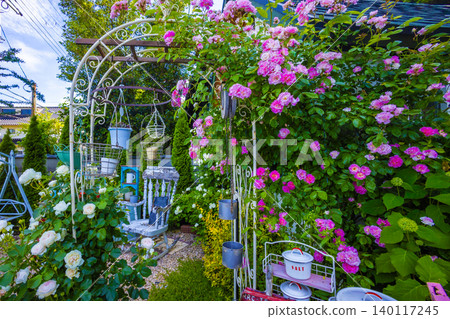 Rose flower garden Rose flower garden 140117245