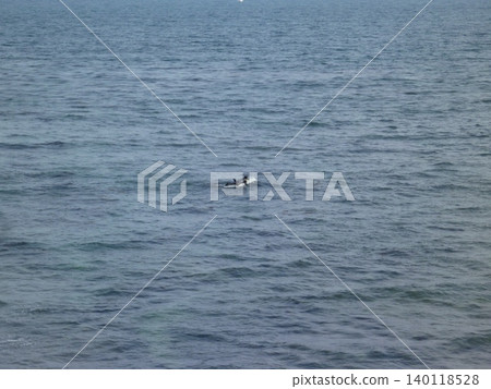 Kamakura, Shonan Enoshima Sea 140118528