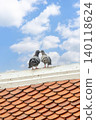 Two pigeons stand close together on the edge of an old tiled roof under a bright blue sky. The scene feels calm, natural, and slightly romantic, with soft clouds in the background. 140118624