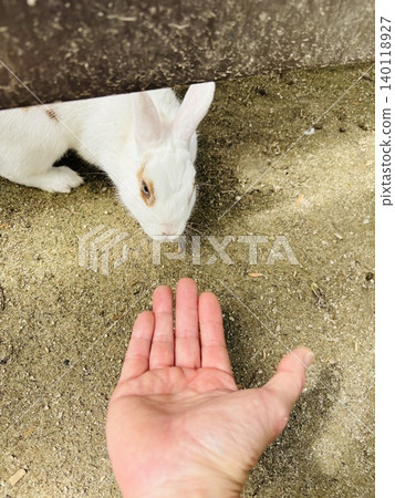 Trias寵物動物園的動物們 Trias寵物動物園的動物們 140118927