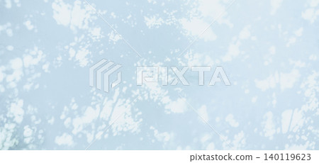 Plants, shadows, light, sunlight, sunlight filtering through the trees 140119623