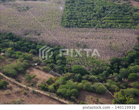 Diverse landscapes with trees and fields from above during daytime Diverse landscapes with trees and fields from above during daytime 140119916