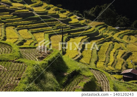 Autumn at Maruyama Senmaida, one of Japan's 100 Best Terraced Rice Fields Autumn at Maruyama Senmaida, one of Japan's 100 Best Terraced Rice Fields 140120243