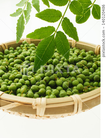 Japanese pepper berries (studio photography) Japanese pepper berries (studio photography) 140120486