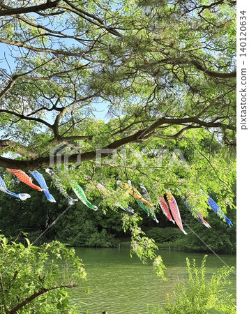 公園景色,翠綠的植物間點綴著鯉魚彩帶。 公園景色,翠綠的植物間點綴著鯉魚彩帶。 140120634