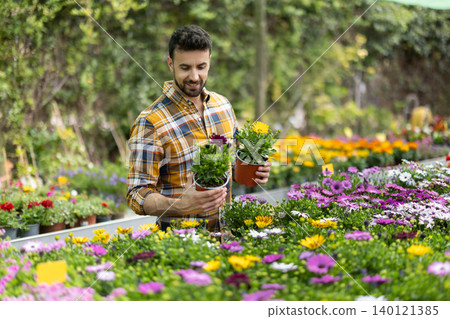 Adult man choosing chrysanthemum shrub in pot at garden center Adult man choosing chrysanthemum shrub in pot at garden center 140121385