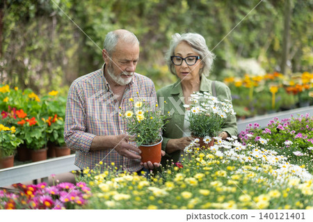 In plant nursery, senior buys and purchase margarita flower decorative plant in pot In plant nursery, senior buys and purchase margarita flower decorative plant in pot 140121401
