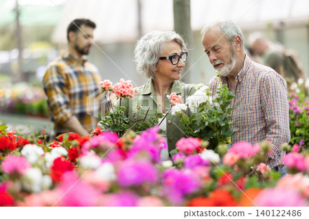 Elderly married choose dahlia together at flower supermarket Elderly married choose dahlia together at flower supermarket 140122486