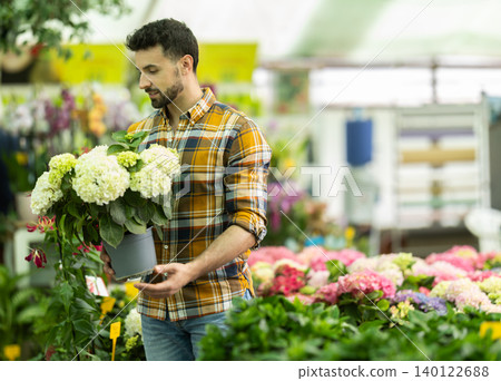 Adult man choosing hydrangea in pot at flower shop Adult man choosing hydrangea in pot at flower shop 140122688