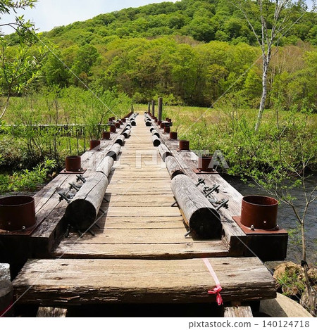 Bridges in Oze Marsh and the lush green scenery of the wetlands Bridges in Oze Marsh and the lush green scenery of the wetlands 140124718