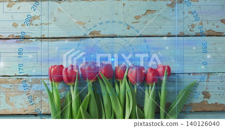 Lining red tulip blooms and green leaves across lower third on pale blue planks, HUD overlay Lining red tulip blooms and green leaves across lower third on pale blue planks, HUD overlay 140126040
