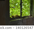 Window side 140126547