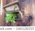 A landscape with a rusty door 140126555