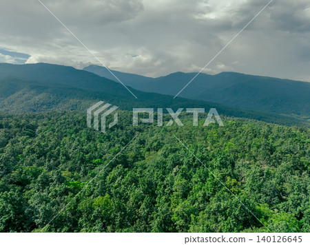 Sustainable mountain forest. Dense green trees capture carbon emissions for net zero concept. Climate change awareness and environmental conservation. Carbon neutrality. Corporate sustainability. Sustainable mountain forest. Dense green trees capture carbon emissions for net zero concept. Climate change awareness and environmental conservation. Carbon neutrality. Corporate sustainability. 140126645